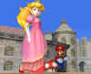 ssbm32.jpg (21650 bytes)